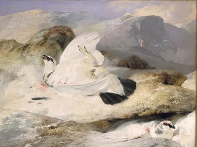 Sneeuwhoen door Edwin Landseer